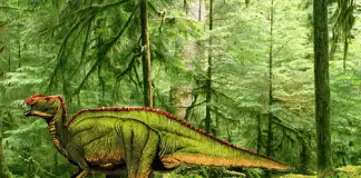 Hadrosaurus by Asuma