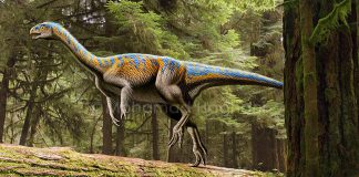 Chilesaurus by Mohamad Haghani
