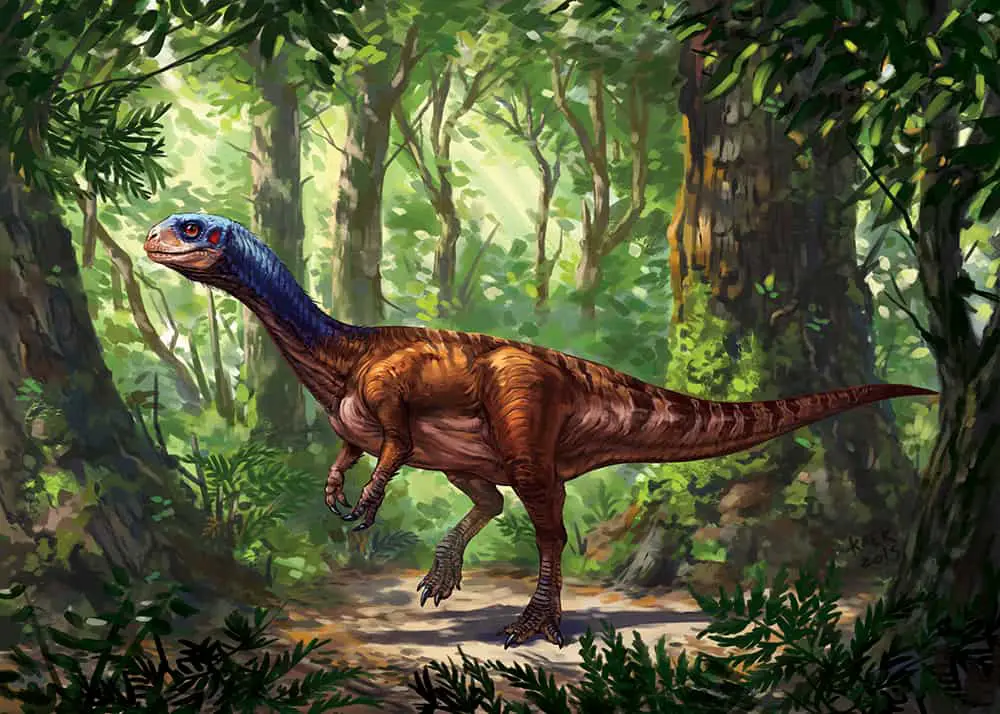 Chilesaurus by Kaek Starkiller