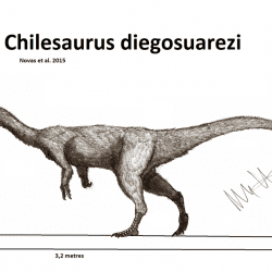 Chilesaurus by Robinson Kunz