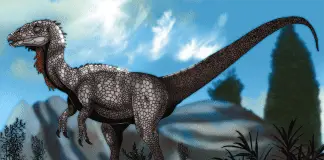 Chilesaurus by Camila Alli Chair