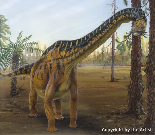 Brachiosaurus by Todd Marshall