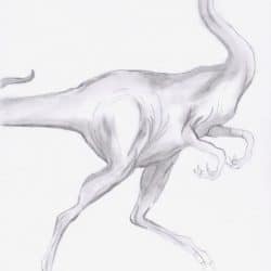 Ornithomimus by Thorn Harmony