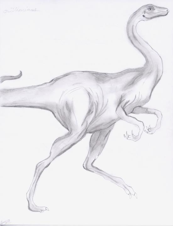 Ornithomimus by Thorn Harmony