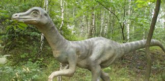 Ornithomimus by Jozef Culak