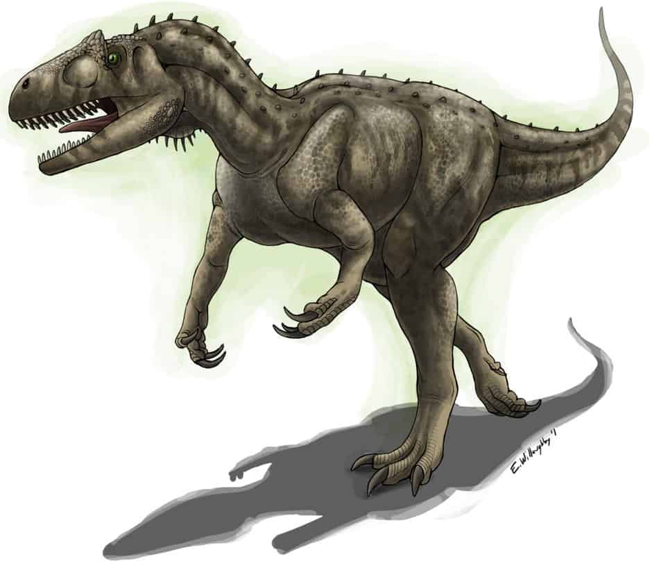 Allosaurus by Emily Willoughby