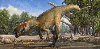Torvosaurus by Sergey Krasovskiy