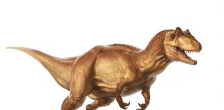 Allosaurus by L. D. Austin