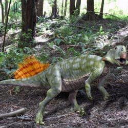 Psittacosaurus by Nobu Tamura