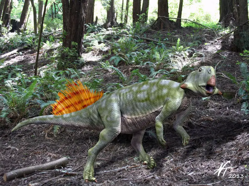 Psittacosaurus by Nobu Tamura