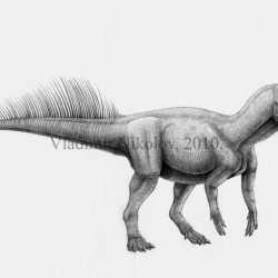 Psittacosaurus by Vladimir Nikolov