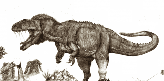 Tyrannotitan by Robinson Kunz