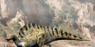 Ouranosaurus by Nobu Tamura