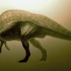 Ouranosaurus by Juanosaurus