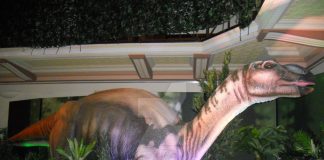 Muttaburrasaurus by Jessie