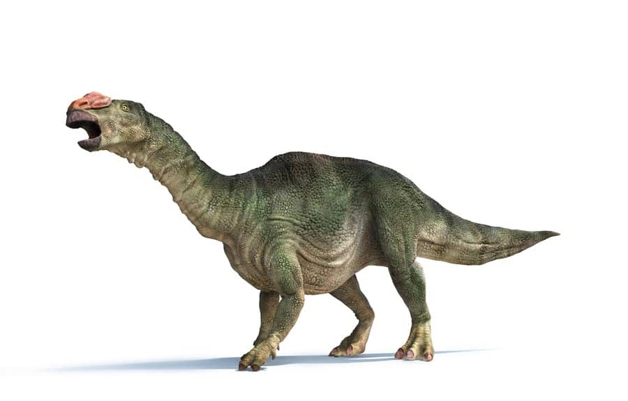 Muttaburrasaurus by Peter Minister