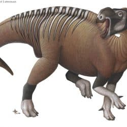 Muttaburrasaurus by H. Kyoht Luterman