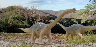 Saltasaurus by Paul Carter