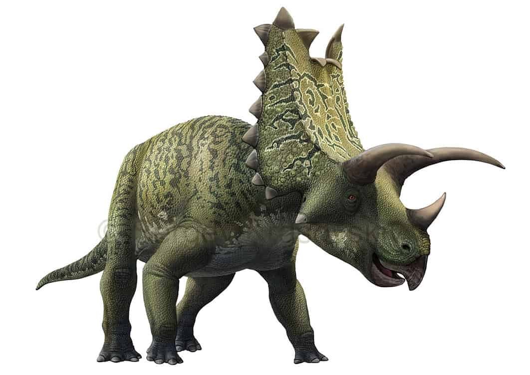 Pentaceratops Alchetron The Free Social Encyclopedia