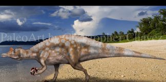 Irritator by Christopher