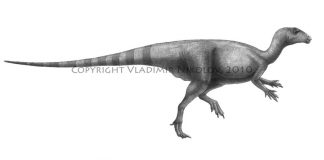 Hypsilophodon by Vladimir Nikolov