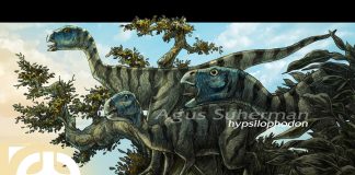 Hypsilophodon by Dulatip