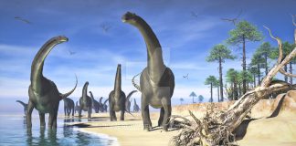 Alamosaurus by Jk