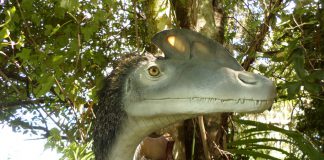 Guanlong by Book-Rat