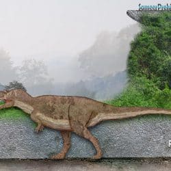 Rajasaurus by SameerPrehistorica