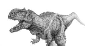 Rajasaurus by Seth Stephenson