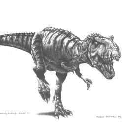 Tyrannosaurus by Fabio Pastori