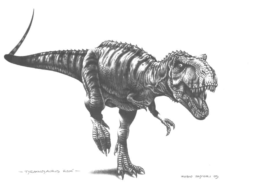 Tyrannosaurus by Fabio Pastori