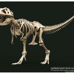 Tyrannosaurus by Russell Gooday