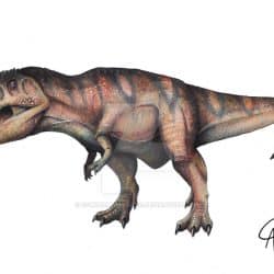 Giganotosaurus by Camus Altamirano