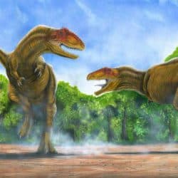 Giganotosaurus by Bruno Hernandez