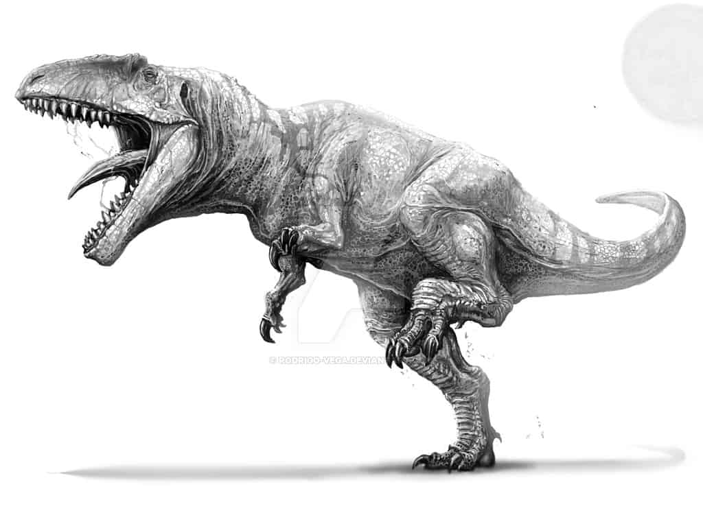 Giganotosaurus by Rodrigo Vega
