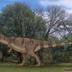 Giganotosaurus by SameerPrehistoricarica