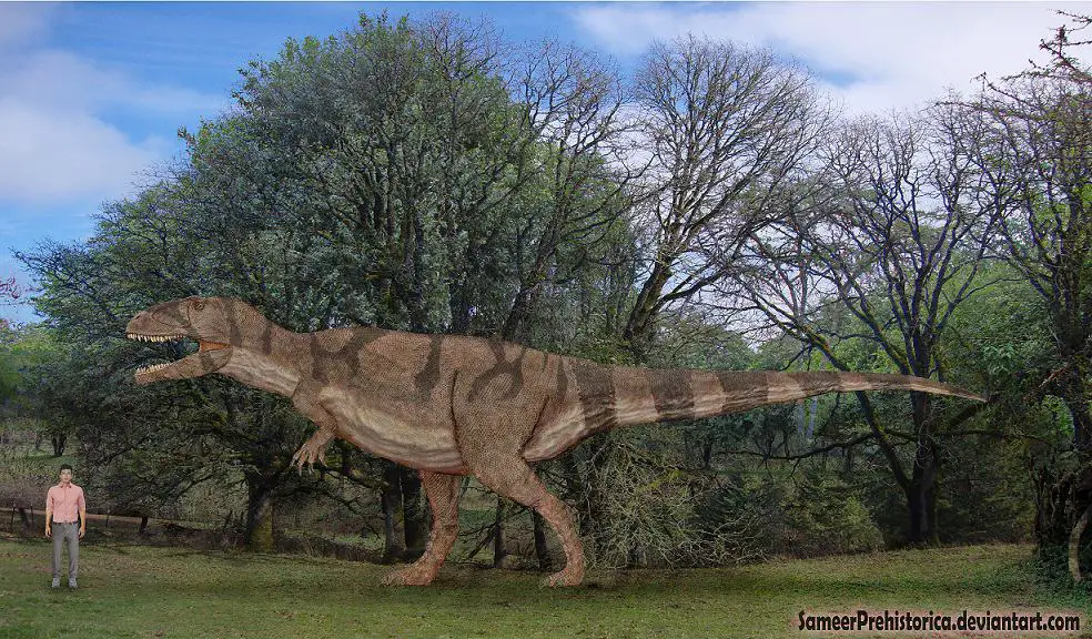 Giganotosaurus by SameerPrehistorica