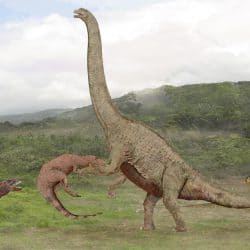 Argentinosaurus by SameerPrehistorica
