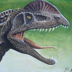 Dilophosaurus by Polihierax