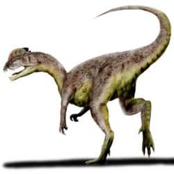 Dilophosaurus by Nobu Tamura