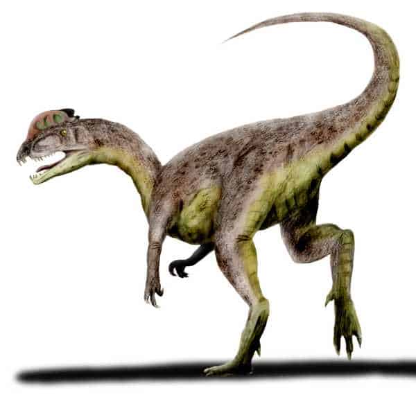 Dilophosaurus by Nobu Tamura