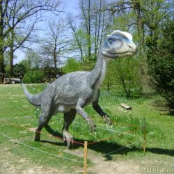 Dilophosaurus by Vida Hernaus