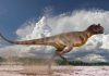 Carnotaurus by Galileo Nunez