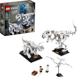 Dinosaur Fossils Building Kit