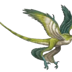 Microraptor by Robert Squier