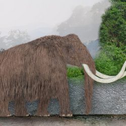 1054_mammuthus (woolly mammoth)_sameerprehistorica