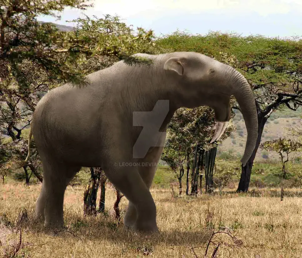 Currently still a work in progress: Deinotherium, a prehistoric relative of  the elephant, investigates something that appears eerily familiar in shape.