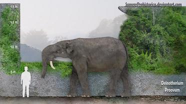Fossil skull of Deinotherium giganteum, a very large relative of modern  elephants with downward facing tusks from the Miocene-Pliocene of Europe.  Art by Roman Uchytel. : r/interestingasfuck