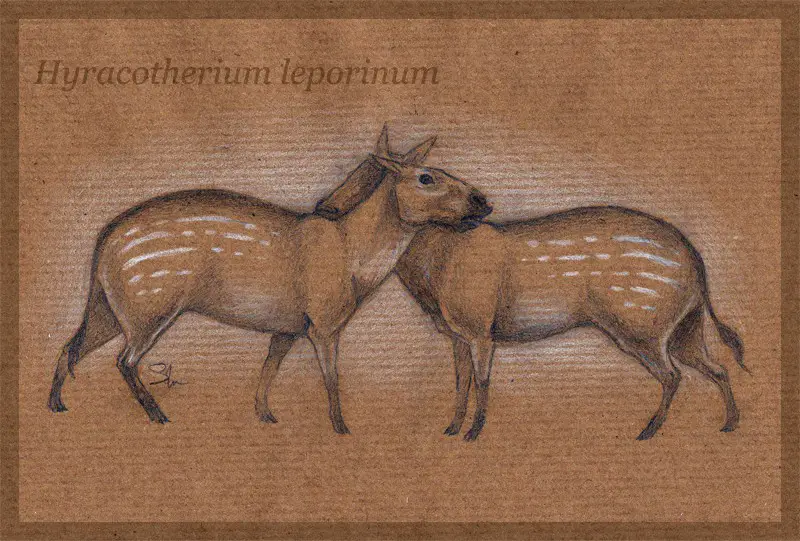 Hyracotherium by Sophie